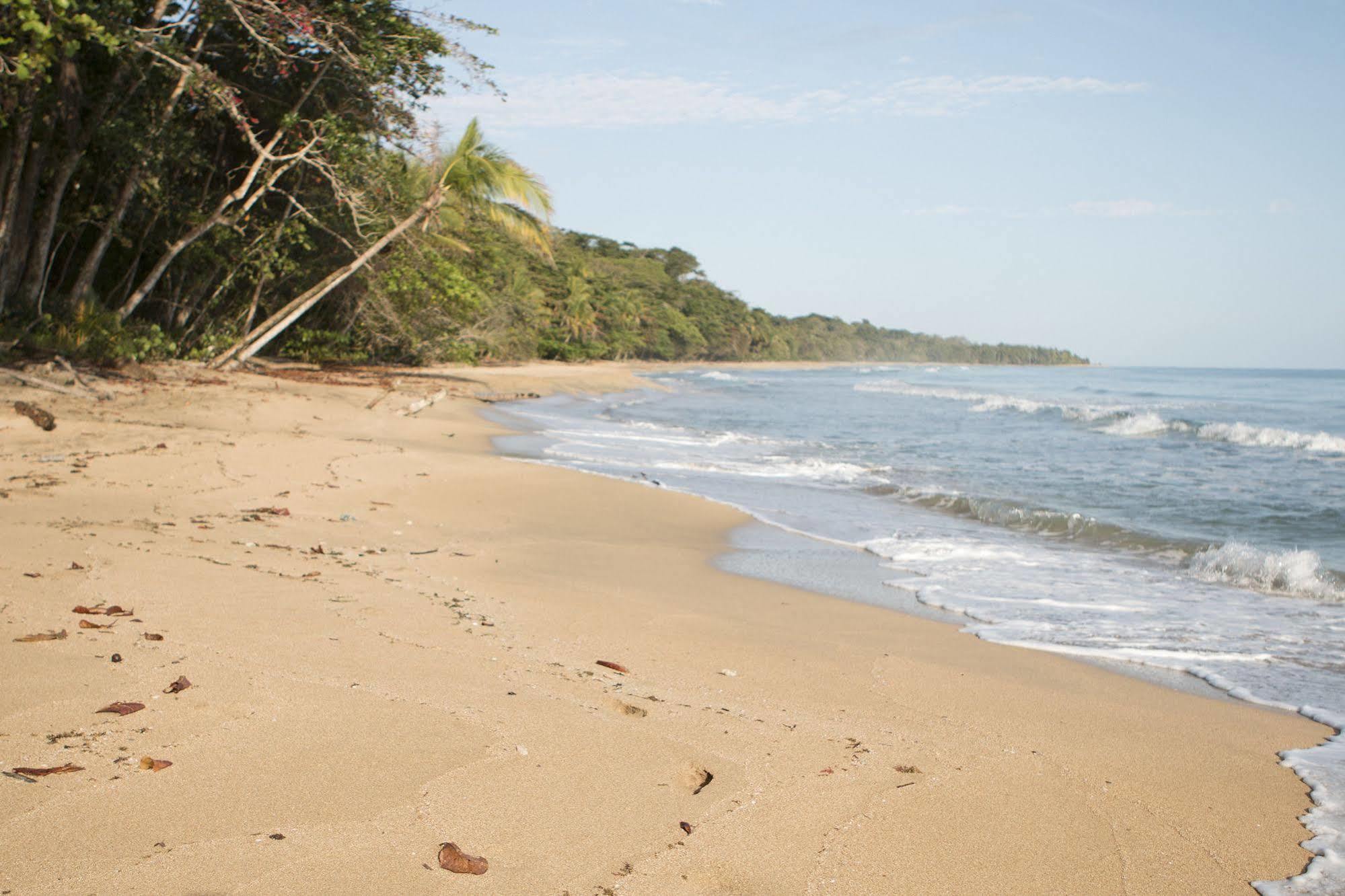 Hotel Almonds And Corals Puerto Viejo de Talamanca Zewnętrze zdjęcie